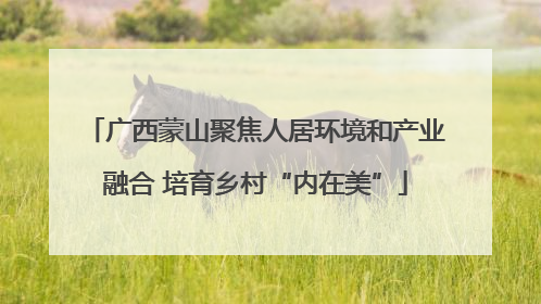广西蒙山聚焦人居环境和产业融合 培育乡村“内在美”